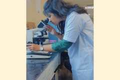 Internship3